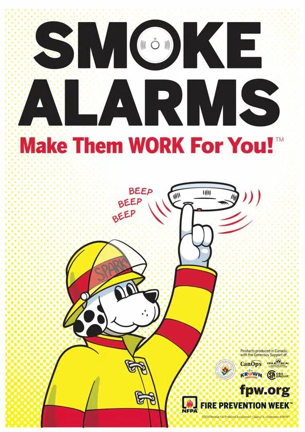 Infographic detailing smoke alarm usage.