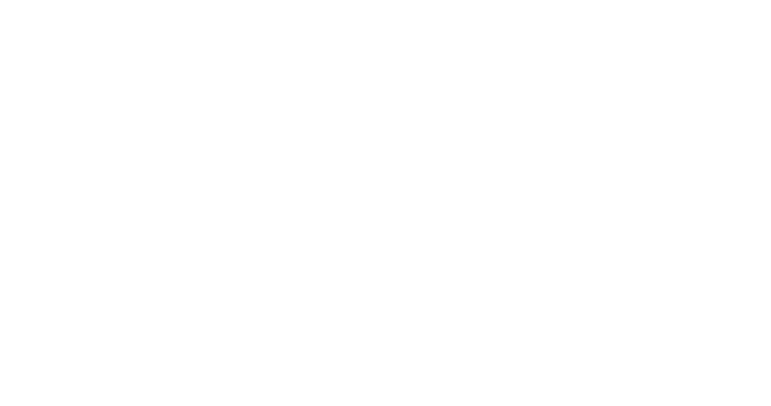 This is the logo for the Mercer County Commission of WV.